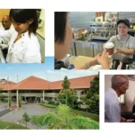 Institute of Mental Health